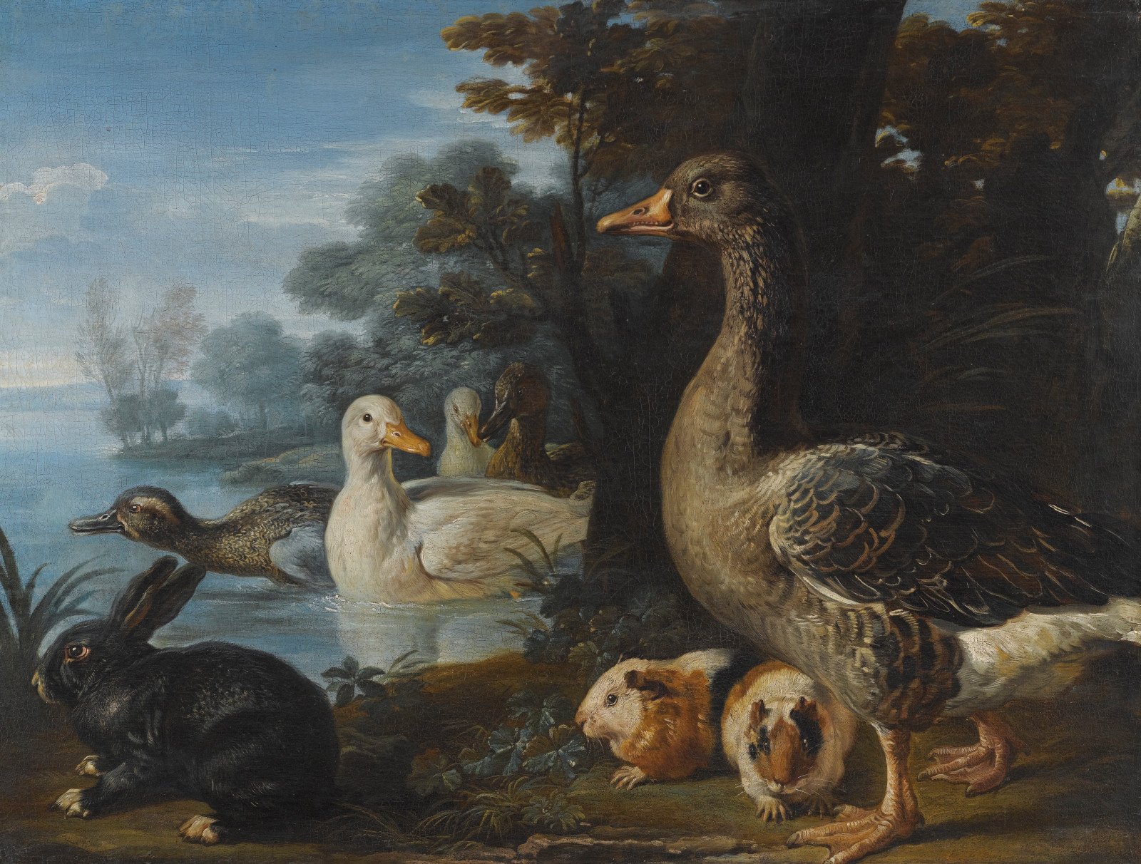 Ducks, Guinea Pigs and a Rabbit in a Wooded Landscape , David de Coninck