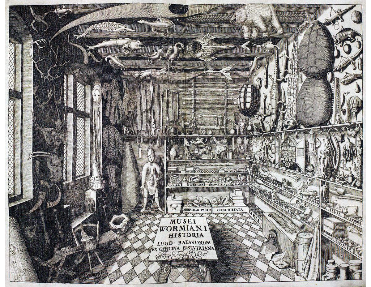 Ole Worm's cabinet of curiosities, from Museum Wormianum, 1655